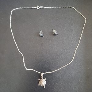 Silver Turtle Necklace and Earrings